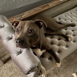 Meet your Posher, Rosemarie